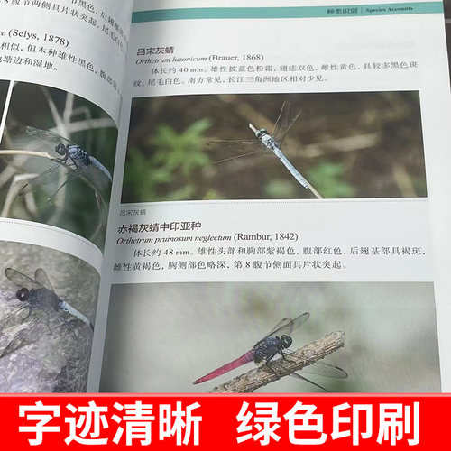 【官方正版】 常见昆虫野外识别手册(长江三角洲卷) 好奇心书系长江三角洲地区常见昆虫20目 215科 590种 科普书籍 重庆大学出版社 - 图1