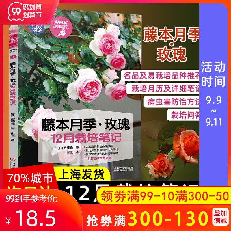 蔷薇盆栽 新人首单立减十元 21年9月 淘宝海外