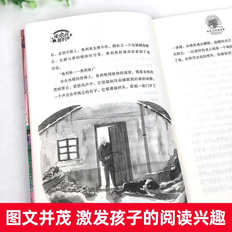 流浪狗奥利奥拾荒犬的黄金梦动物小说大王沈石溪著励志成长生命教育儿童绘本图画书少儿动漫书7-9-12-14岁小学生课外阅读书籍-图1