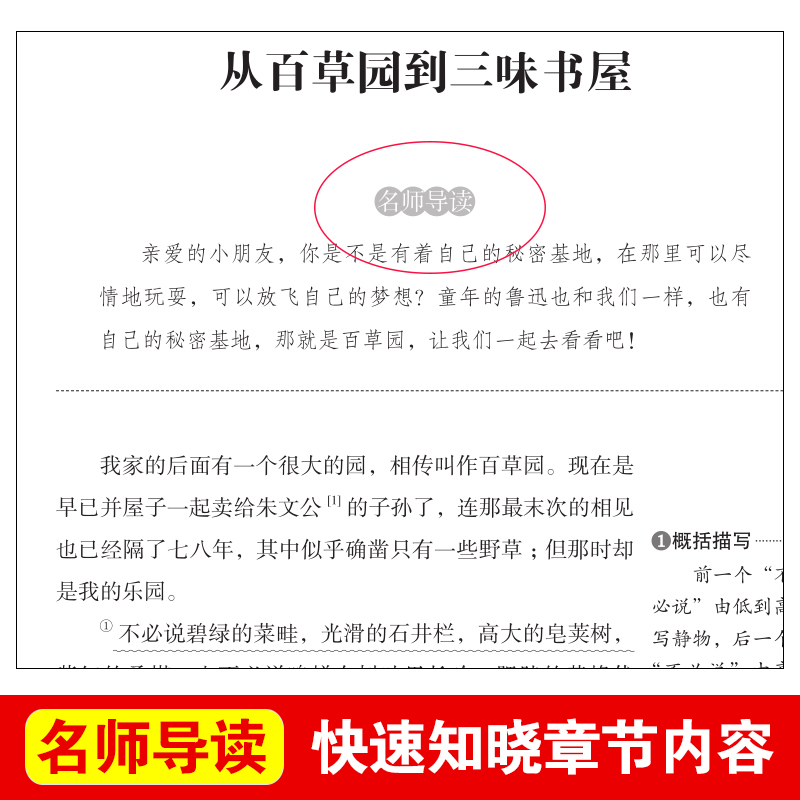 从百草园到三味书屋正版鲁迅原著中小学生读课外书籍三至六七年级初一基础阅读书目青少年儿童文学读物全集完整版 - 图0