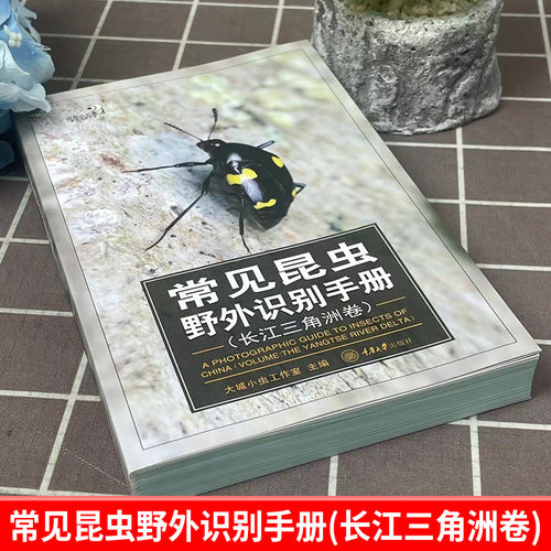 【官方正版】 常见昆虫野外识别手册(长江三角洲卷) 好奇心书系长江三角洲地区常见昆虫20目 215科 590种 科普书籍 重庆大学出版社 - 图0