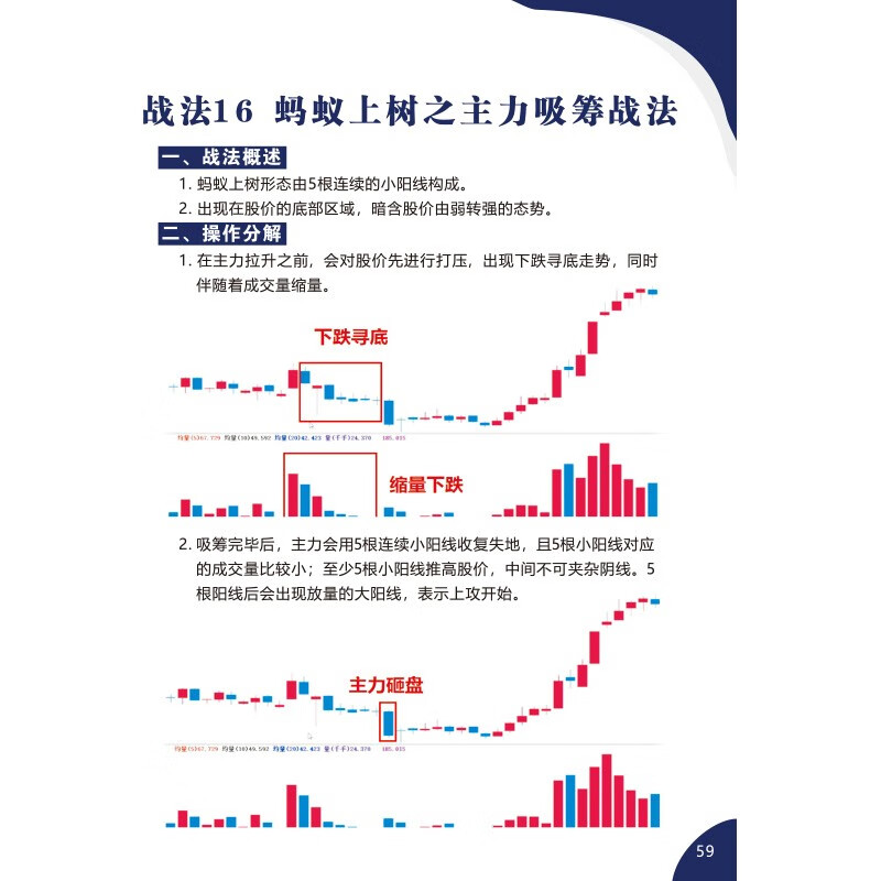 正版书籍战法合集之万法归宗袁博著散户投资者股票证券交易指南大市强弱判断市场趋势选股方法买卖时机仓位管理方法技巧大全-图2