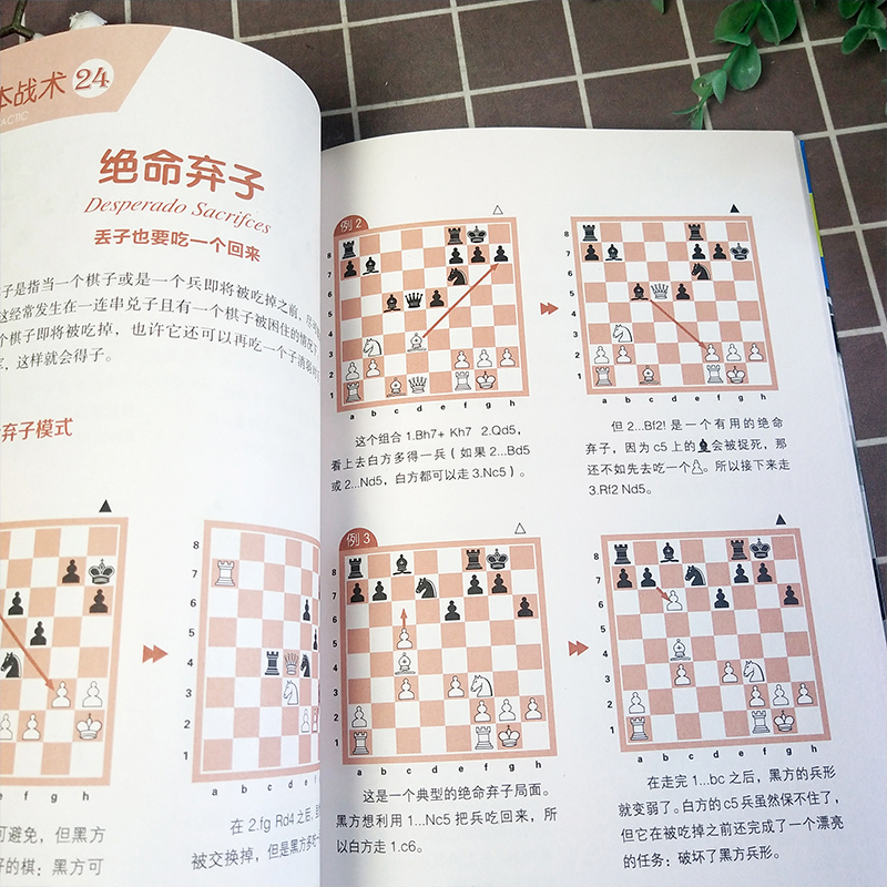 新版大师三人行少儿国际象棋基础篇2册套装基本战术要掌握+制胜一击我最棒国际象棋书籍经典儿童学生初学象棋入门教辅教材棋谱-图1