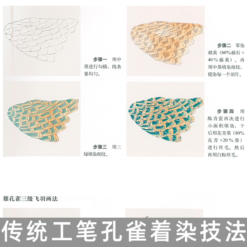 正版传统工笔孔雀着染技法杨柳青工笔画白描底稿初学者临摹上色步骤工笔画临摹画稿初学入门画册书籍国画入门基础教程书籍-图1