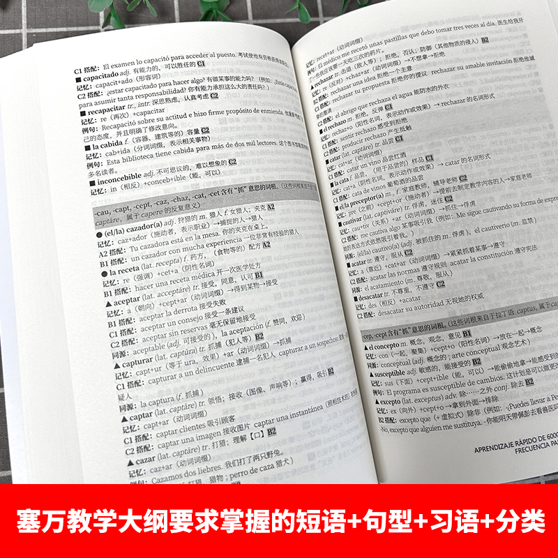 快速突破西班牙语DELE和SIELE高频词汇6000 高考dele核心词汇2000 西班牙语词汇 大学西班牙语听说读写a1a2  郭汇唯 东华大学 - 图3