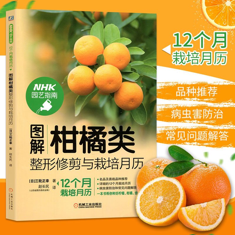 柑橘盆 新人首單立減十元 22年8月 淘寶海外