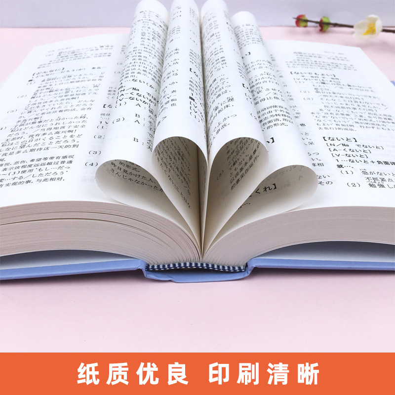 外研社 日本语句型辞典 日本语文型辞典 砂川有里子 精装 日语语法书 日语词典日语字典日语词汇 自学日本语工具书 学习日语的书籍 - 图3