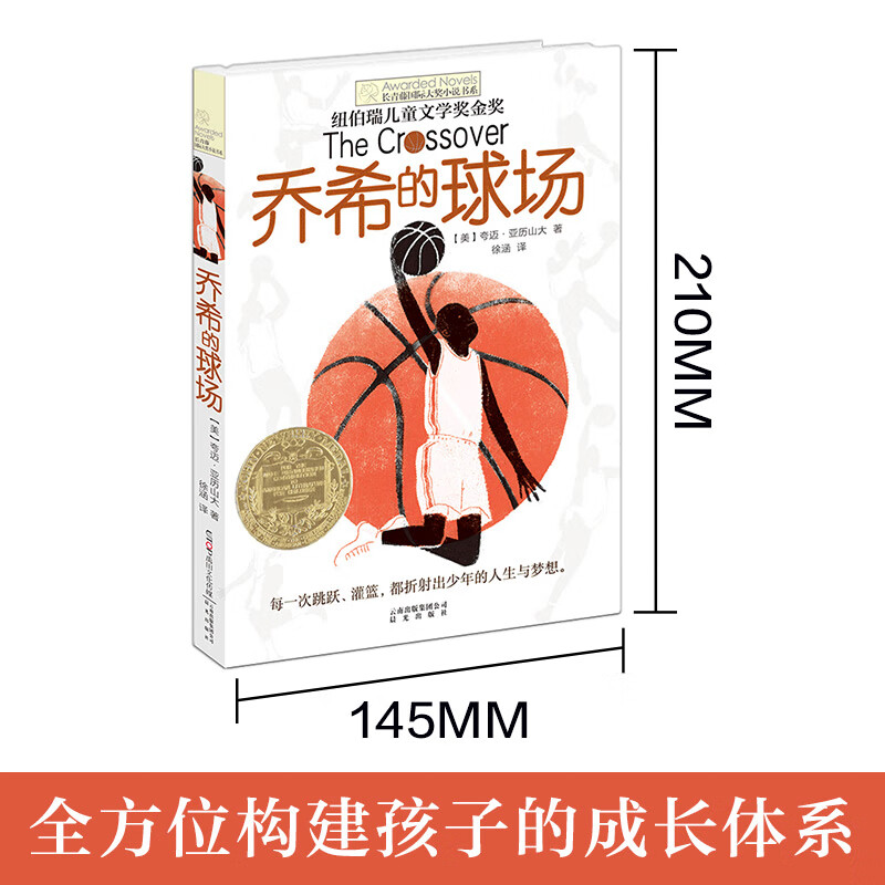 长青藤国际大奖小说书系 第六辑 乔希的球场查理的出击 10-14岁 小学生课外书 五六年级课外阅读 儿童故事读物 纽伯瑞儿童文学金奖 - 图0