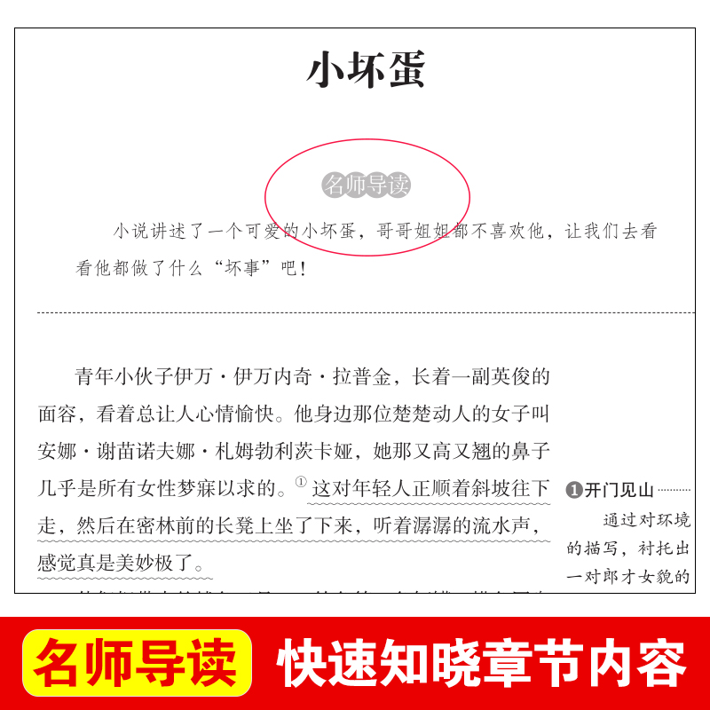 契诃夫短篇小说选正版 天地出版社全集 初中小学生读经典世界文学名著九年级课外阅读书籍完整版契科夫短篇小说集 - 图0