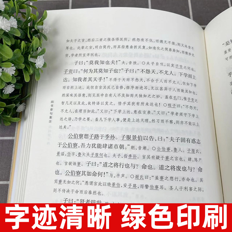 官方正版 四书章句集注 精装 中华国学文库 统文化精华 标准简体善本 收录全面 好的展示四书全貌和朱熹思想 国学经典 中华书局 - 图1