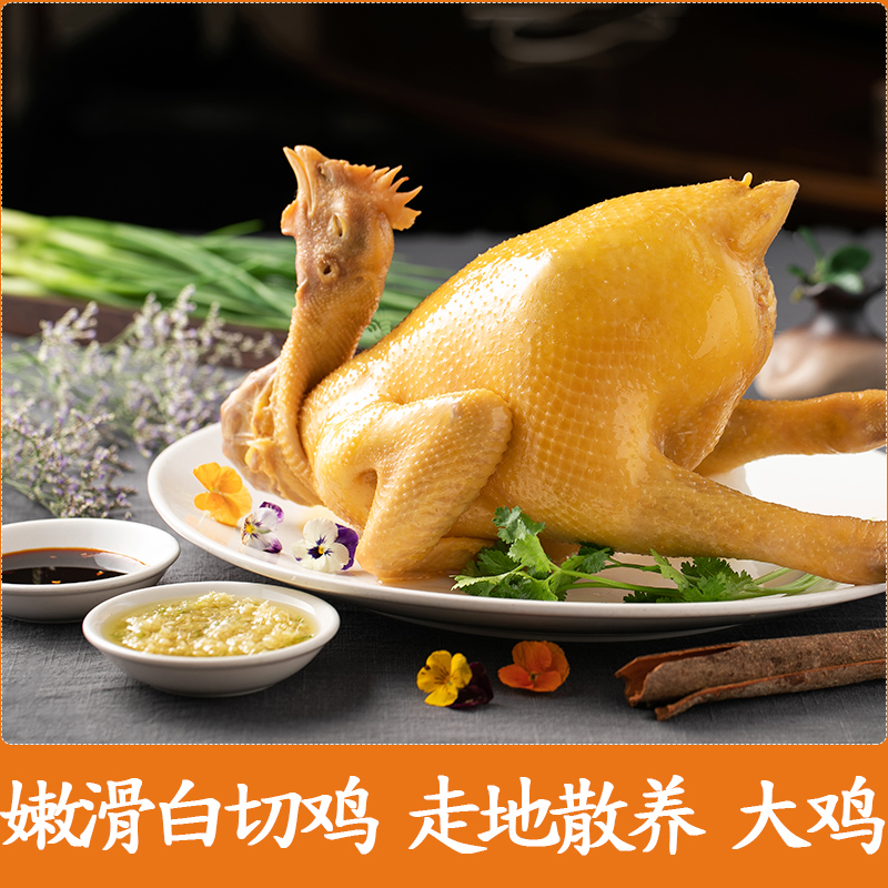 正宗广东白切鸡整只熟食粤菜即食广式广州湛江白斩鸡手撕真空零食_虎窝淘