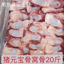 Fresh Frozen Pig Metatreasure Bone Kneecap Bone Pig Cog Bone-gluten Sauce Bone Barbecue Hotel 20 Catty Manufacturer Direct Sale