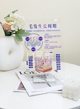 繁体亚克力立牌桌面摆件面部抗衰美容院咨询室医美医患沟通产康店