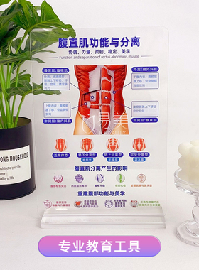 高透亚克力摆台腹直肌功能与分离医患沟通知识科普品牌交互产康店