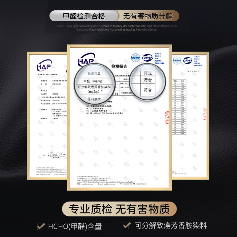 吉利帝豪S 缤瑞 博越 icon 远景星越L缤越博瑞星瑞专用全包围脚垫 - 图3