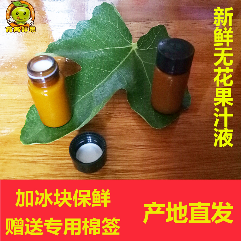 新鲜无花果叶白汁药用纯白原浆汁液扁平尤瘊猴子现挤现货10ml包邮 - 图0