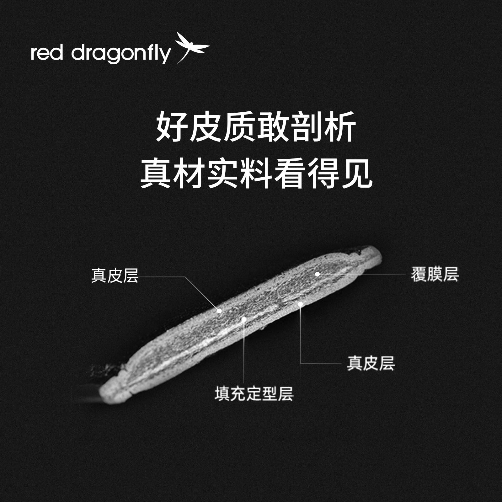  红蜻蜓箱包腰带/皮带/腰链