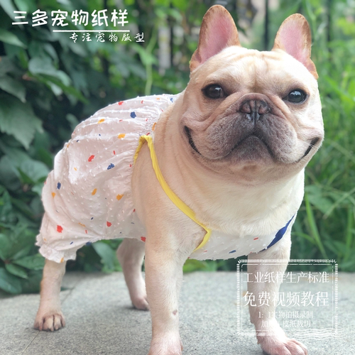 狗狗南瓜裤纸样泰迪比熊博美大小型犬裤子图纸宠物连体裤模版教程 - 图2
