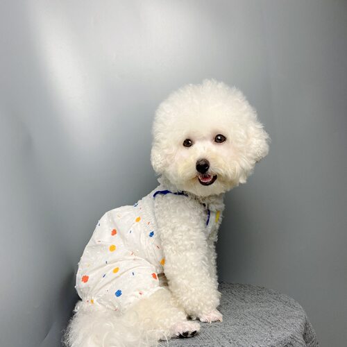 狗狗南瓜裤纸样泰迪比熊博美大小型犬裤子图纸宠物连体裤模版教程 - 图3