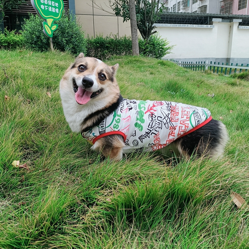 猫咪无袖背心狗狗背心纸板图纸样模恶霸英斗泰迪金毛法斗柯基样版 - 图1