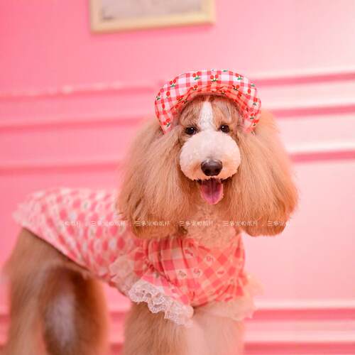 宠物狗狗猫咪泡泡袖背心图纸泰迪比熊博美甜美小飞袖衣服纸样 - 图0