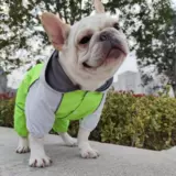 Петом капюшона с капюшоном с четырьмя -юбкой