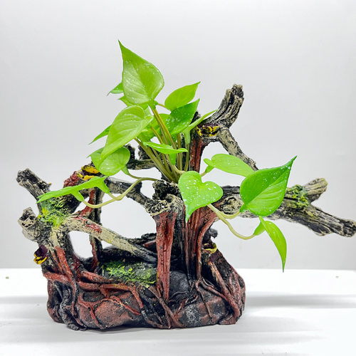 鱼缸造景树脂躲避洞穴仿真树皮洞穴鱼虾爬宠爬虫寄居蟹躲避屋窝 - 图2