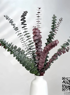 【17号】永生尤加利/墨绿色干花摆件干花花束客厅摆设花瓶永生花