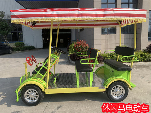 休闲马单排轮毂电机电动双人三人四人旅游观光自行车四轮电动车 - 图0