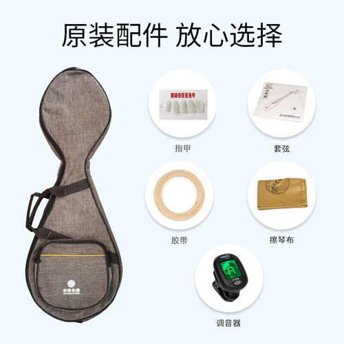 乐海 琵琶乐器成人爱好初学者入门练习色木花开富贵头饰DJ11-1 - 图2
