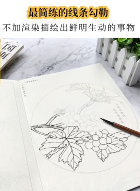 工笔画白描底稿新手入门