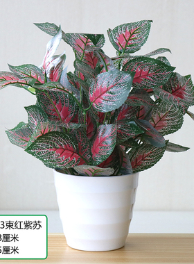 红掌塑料盆栽小摆件仿真植物