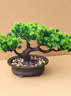 仿真植物假发财树室内装饰柜大型