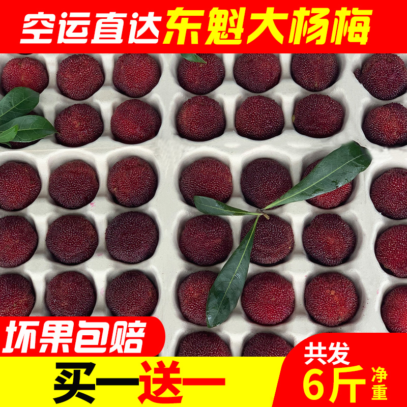 仙庆旗舰店仙居杨梅新鲜特级东魁大杨梅共6斤整箱当季水果现摘现发非云南梅0