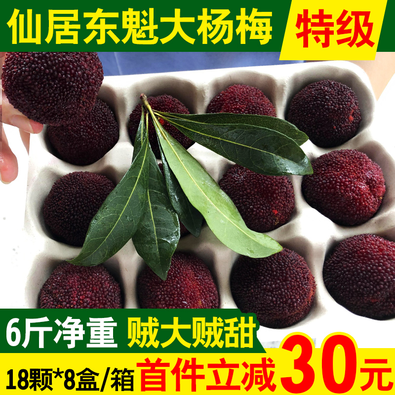 仙庆旗舰店【特级大甜】仙居杨梅新鲜东魁杨梅6斤整箱孕妇当季水果现摘现发0