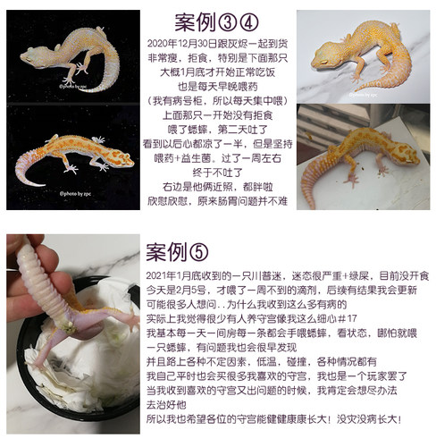 爬虫bac益生菌调理肠胃Repraze爬宠陆半水黄缘巴西龟蜥蜴守宫 - 图1