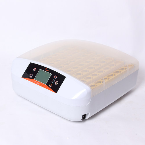 孵化器鸡小型家用型全自动HHD孵蛋器迷你孵化机鹌鹑鸟蛋孵蛋器机 - 图2