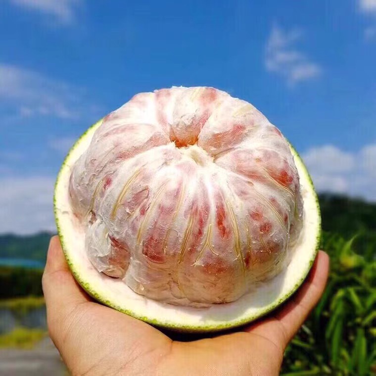 正宗泰国金柚青皮翡翠红心柚子4个大果红肉青柚当季孕妇水果纯甜 - 图2