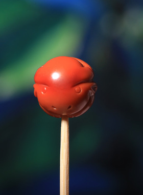 设计定做配珠生肖和田玉南红蜜蜡