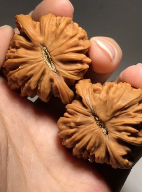 麒麟纹大官帽四座楼狮子头原色精配对高抛好料文玩核桃手把件