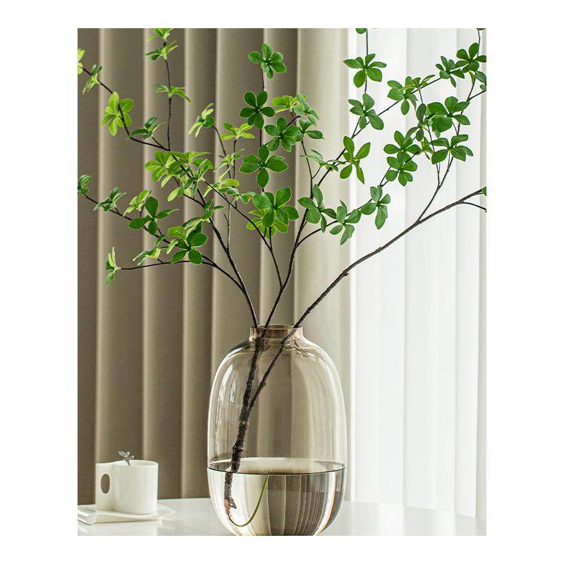 玻璃花瓶轻奢高级感大肚摆件插花客厅透明吊钟南天竹玄关极简鲜花,淘宝优惠券,粉丝福利购,淘宝优惠卷