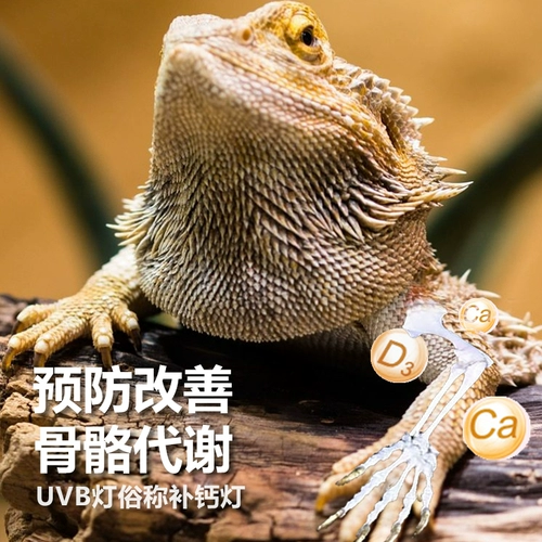 Подниматься на пету -кальций легкая световая ящерица UVB Lights Light -Sales Energy Light Bubble Bubble MultiSanade Poles Desert 10.0