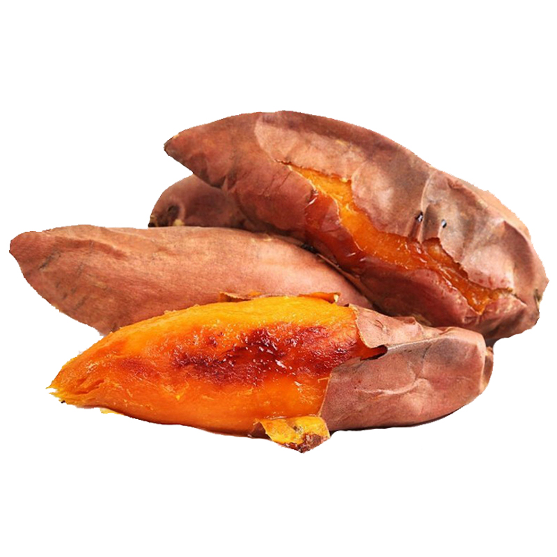 送20株烟薯25地瓜苗红薯头茬种子苗 好鲜生农产店番薯