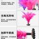 毽子新健牌耐踢大人小学生儿童运动专用专业毽球花毽比赛鸡毛键子