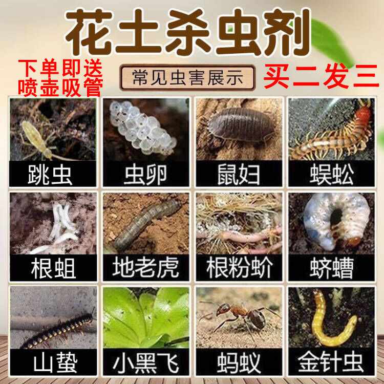盆土杀虫 新人首单立减十元 22年10月 淘宝海外