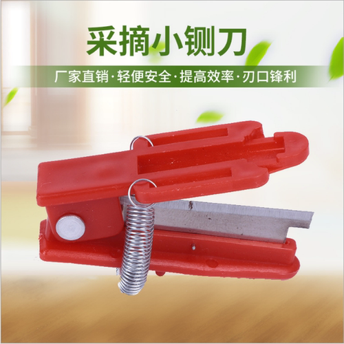 手指采摘农用小剪刀黄瓜掐尖拇指刀摘菜神器园艺果园小铡刀戒指刀 - 图0
