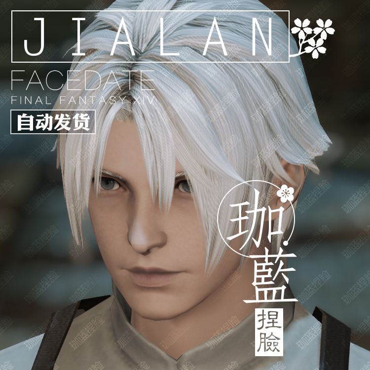 【珈蓝】最终幻想14 ff14捏脸数据脸型 人族人类人男平原男 焦土 - 图3