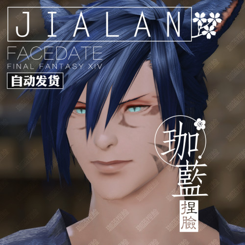 【珈蓝】最终幻想14 ff14捏脸数据脸型 猫魅族猫男 日猫 威廉 - 图3