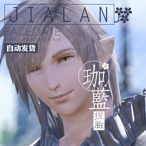 【珈蓝】最终幻想14 ff14捏脸数据脸型 精灵族男精 黑影异瞳 南莫 - 图0