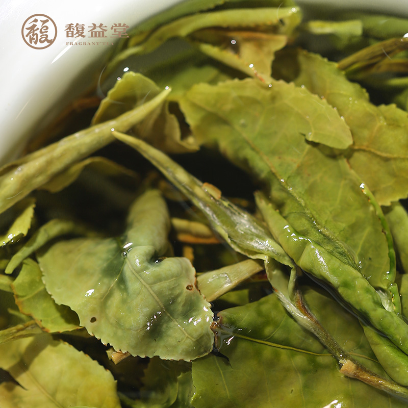 馥益堂福鼎白茶2022一级年花香春寿眉30g体验装茶叶自己喝散茶 - 图2